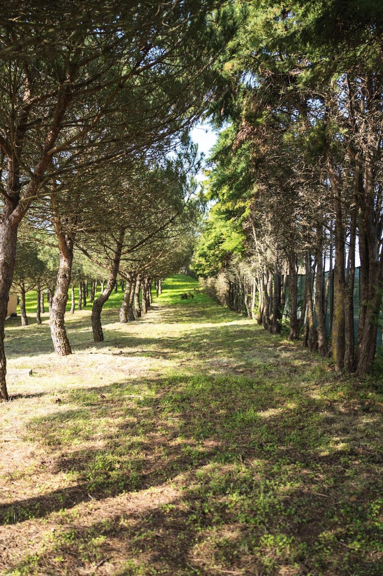 Quinta Raposeiros Apartment