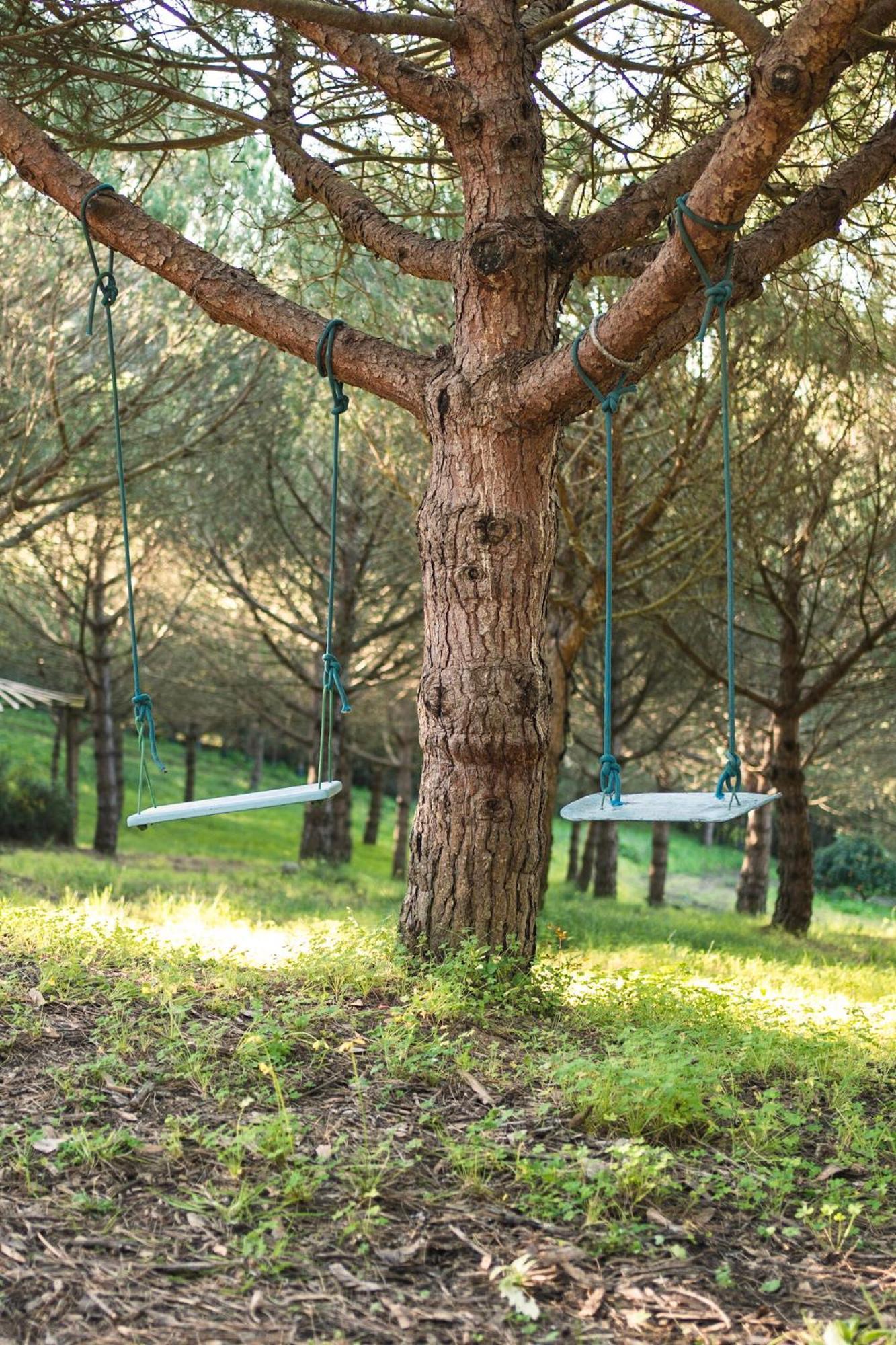 Quinta Raposeiros Santo Isidoro
