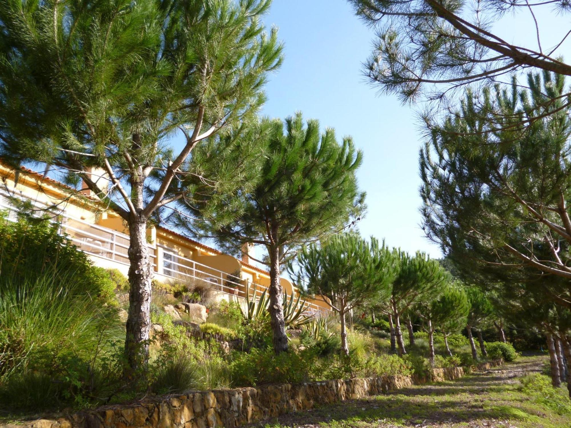 Apartment Quinta Raposeiros *